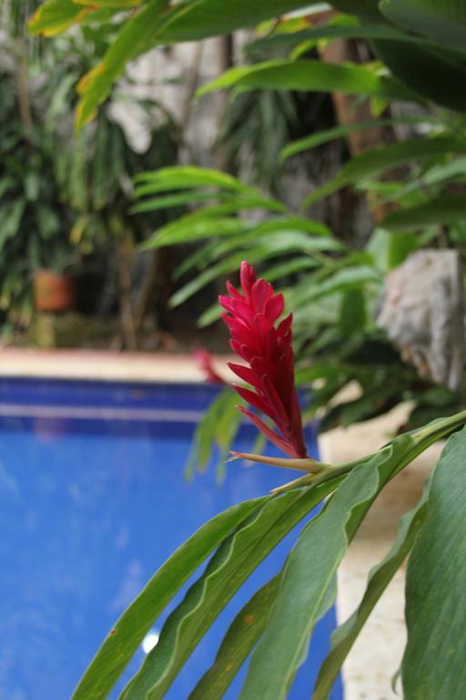 Casa Del Tejadillo Hotel Cartagena Buitenkant foto